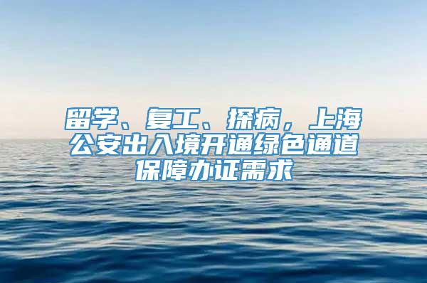 留学、复工、探病，上海公安出入境开通绿色通道保障办证需求