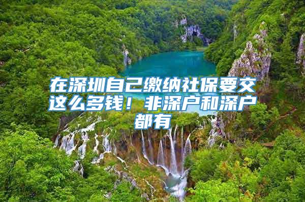 在深圳自己缴纳社保要交这么多钱！非深户和深户都有