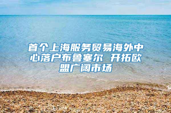 首个上海服务贸易海外中心落户布鲁塞尔 开拓欧盟广阔市场