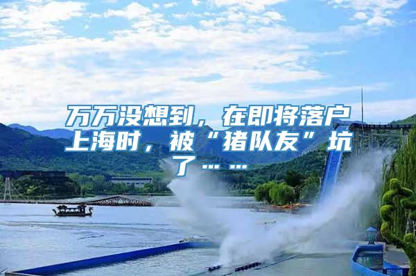 万万没想到，在即将落户上海时，被“猪队友”坑了……