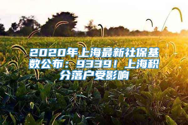 2020年上海最新社保基数公布：9339！上海积分落户受影响