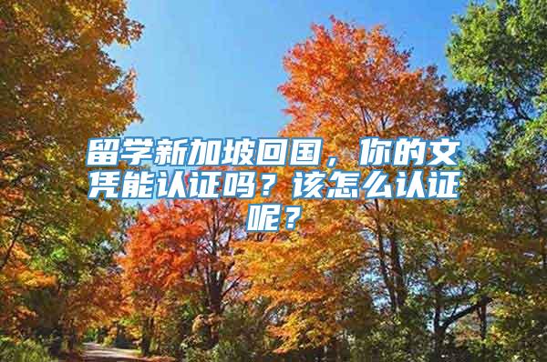 留学新加坡回国，你的文凭能认证吗？该怎么认证呢？