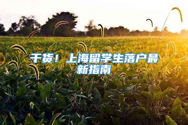 干货！上海留学生落户最新指南