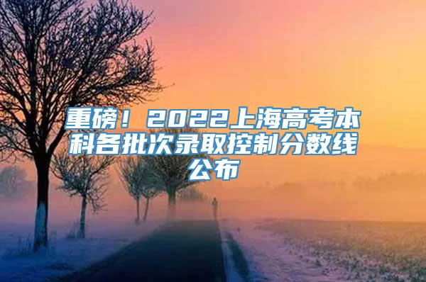 重磅！2022上海高考本科各批次录取控制分数线公布