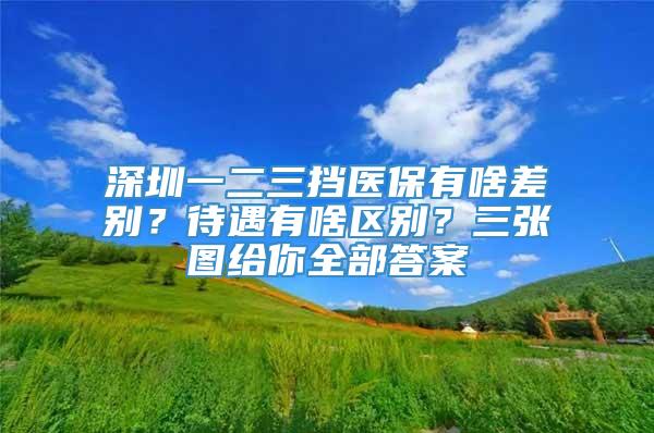 深圳一二三挡医保有啥差别？待遇有啥区别？三张图给你全部答案