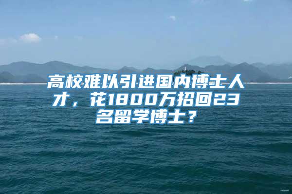 高校难以引进国内博士人才，花1800万招回23名留学博士？