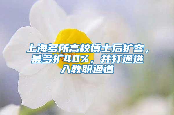 上海多所高校博士后扩容，最多扩40%，并打通进入教职通道