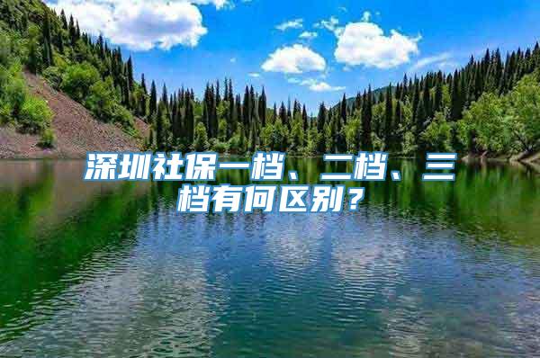 深圳社保一档、二档、三档有何区别？