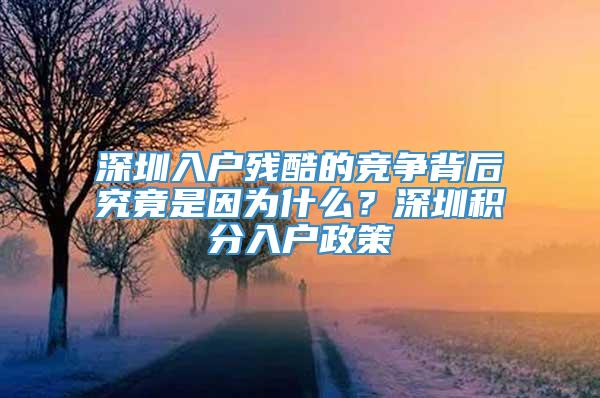 深圳入户残酷的竞争背后究竟是因为什么？深圳积分入户政策