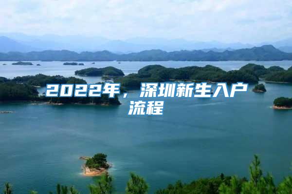 2022年，深圳新生入户流程