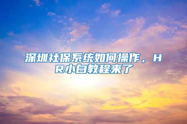 深圳社保系统如何操作，HR小白教程来了