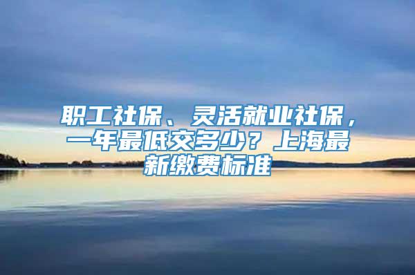 职工社保、灵活就业社保，一年最低交多少？上海最新缴费标准