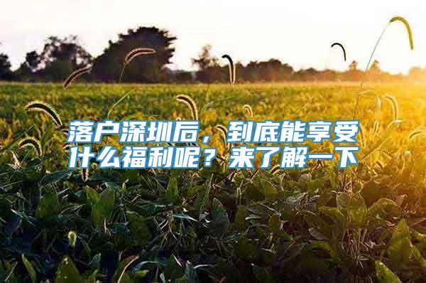 落户深圳后，到底能享受什么福利呢？来了解一下