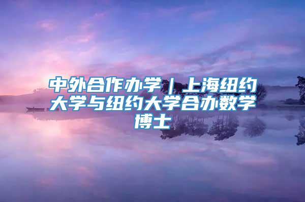 中外合作办学｜上海纽约大学与纽约大学合办数学博士