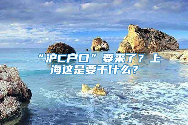 “沪C户口”要来了？上海这是要干什么？