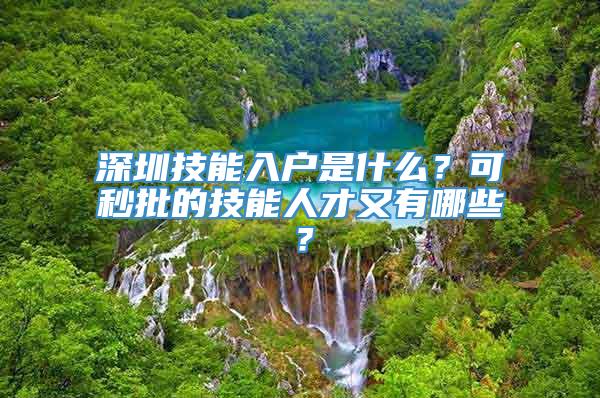 深圳技能入户是什么？可秒批的技能人才又有哪些？