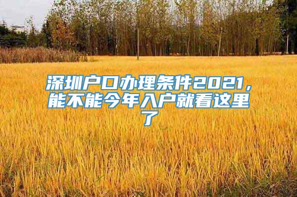 深圳户口办理条件2021，能不能今年入户就看这里了