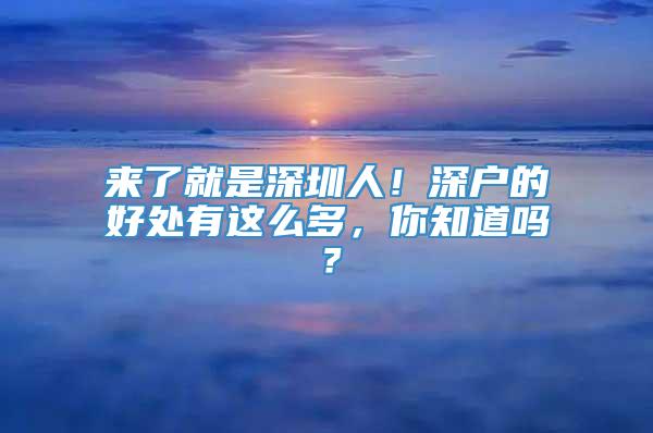 来了就是深圳人！深户的好处有这么多，你知道吗？