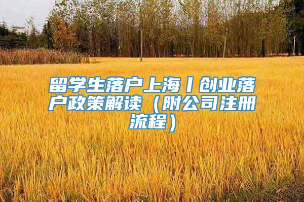 留学生落户上海丨创业落户政策解读（附公司注册流程）