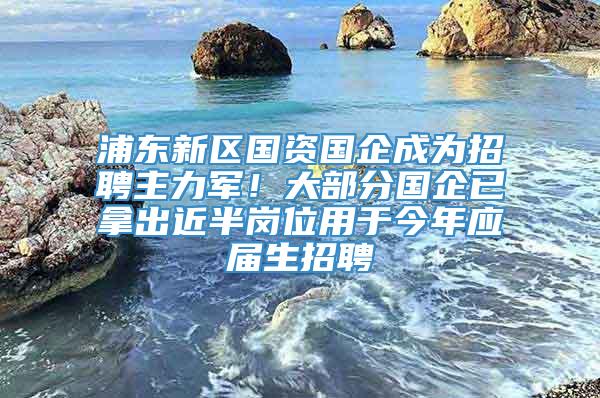 浦东新区国资国企成为招聘主力军！大部分国企已拿出近半岗位用于今年应届生招聘