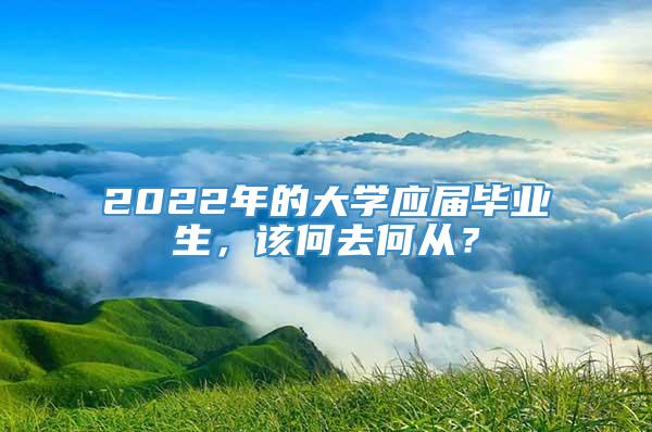 2022年的大学应届毕业生，该何去何从？