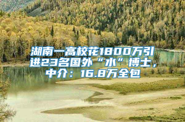 湖南一高校花1800万引进23名国外“水”博士，中介：16.8万全包