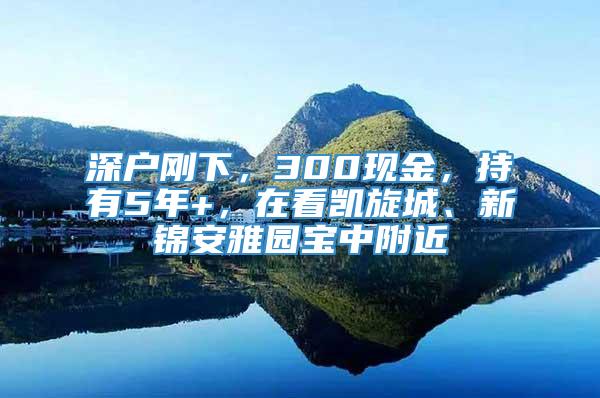 深户刚下，300现金，持有5年+，在看凯旋城、新锦安雅园宝中附近