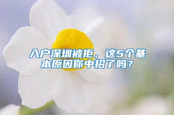 入户深圳被拒，这5个基本原因你中招了吗？