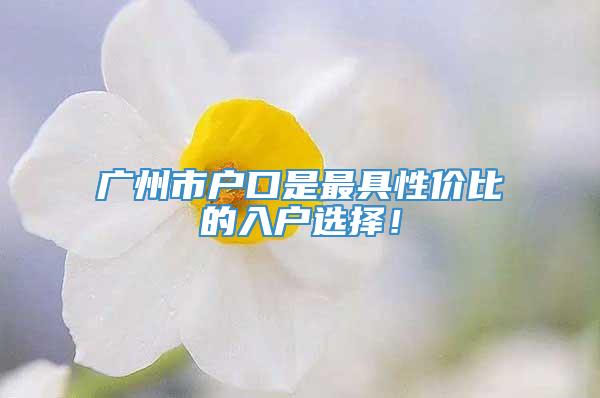 广州市户口是最具性价比的入户选择！