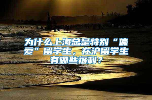 为什么上海总是特别“偏爱”留学生，在沪留学生有哪些福利？