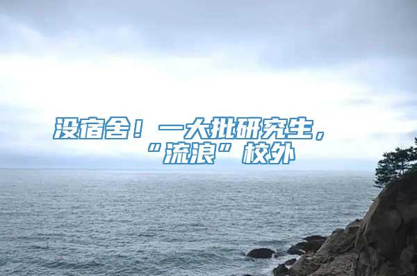 没宿舍！一大批研究生，“流浪”校外