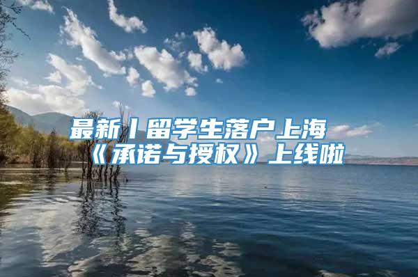 最新丨留学生落户上海《承诺与授权》上线啦