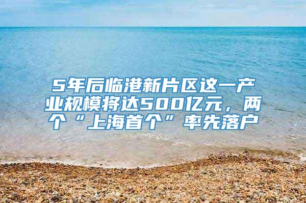 5年后临港新片区这一产业规模将达500亿元，两个“上海首个”率先落户