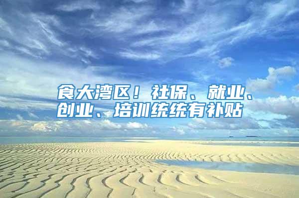 揾食大湾区！社保、就业、创业、培训统统有补贴