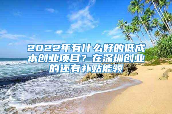 2022年有什么好的低成本创业项目？在深圳创业的还有补贴能领