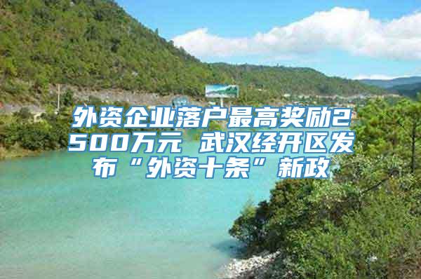 外资企业落户最高奖励2500万元 武汉经开区发布“外资十条”新政