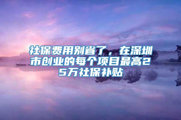 社保费用别省了，在深圳市创业的每个项目最高25万社保补贴