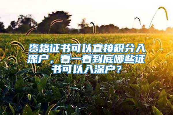 资格证书可以直接积分入深户，看一看到底哪些证书可以入深户？