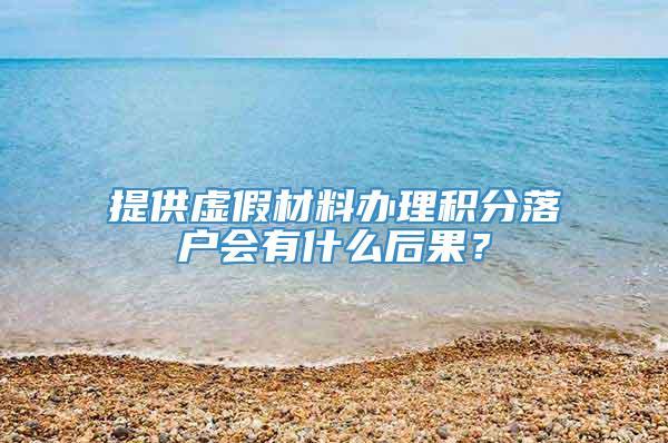 提供虚假材料办理积分落户会有什么后果？