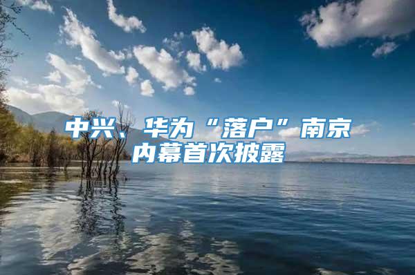 中兴、华为“落户”南京内幕首次披露