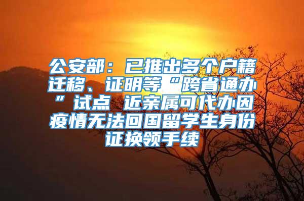 公安部：已推出多个户籍迁移、证明等“跨省通办”试点 近亲属可代办因疫情无法回国留学生身份证换领手续