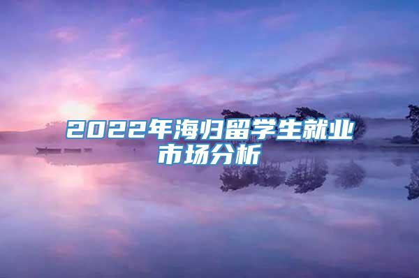 2022年海归留学生就业市场分析