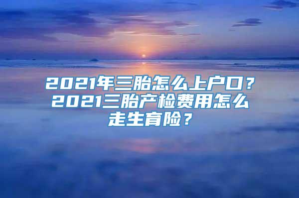 2021年三胎怎么上户口？2021三胎产检费用怎么走生育险？