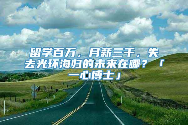 留学百万，月薪三千，失去光环海归的未来在哪？「一心博士」