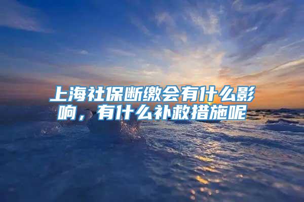 上海社保断缴会有什么影响，有什么补救措施呢