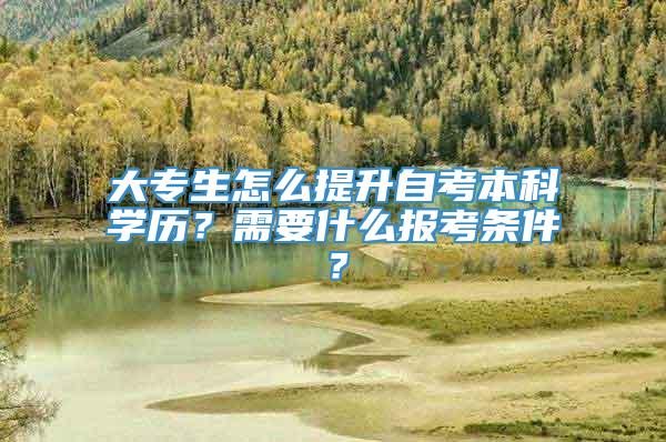 大专生怎么提升自考本科学历？需要什么报考条件？