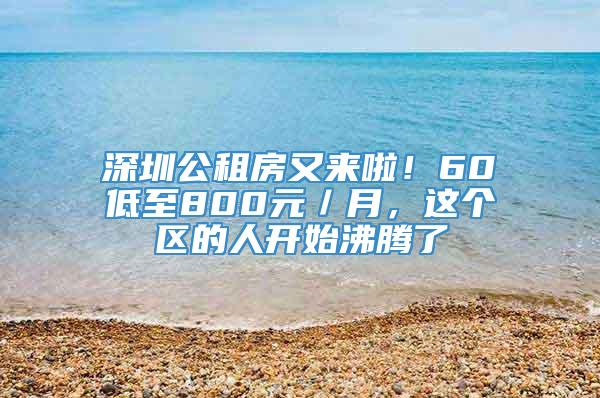 深圳公租房又来啦！60㎡低至800元／月，这个区的人开始沸腾了