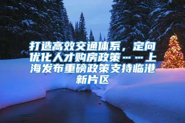 打造高效交通体系，定向优化人才购房政策……上海发布重磅政策支持临港新片区