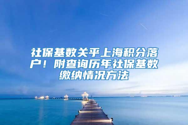 社保基数关乎上海积分落户！附查询历年社保基数缴纳情况方法