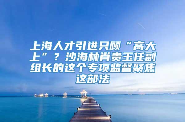 上海人才引进只顾“高大上”？沙海林肖贵玉任副组长的这个专项监督聚焦这部法